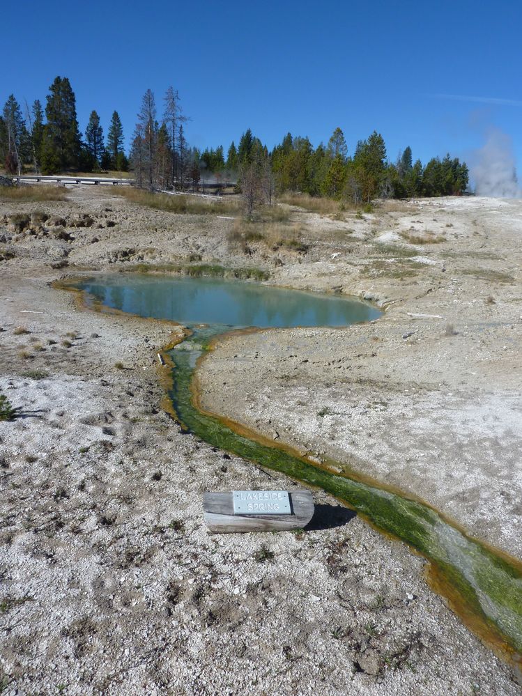 Yellowstone West Thumb Area (16).JPG